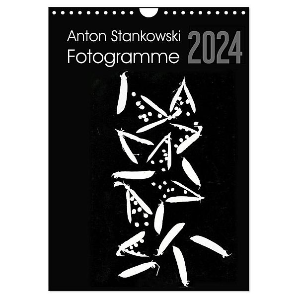 Anton Stankowski Fotogramme (Wandkalender 2024 DIN A4 hoch), CALVENDO Monatskalender, Anton Stankowski