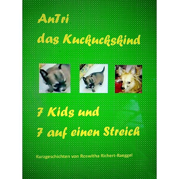 AnTri das Kuckuckskind. 7 Kids und 7 auf einen Streich, Roswitha Richert-Raeggel