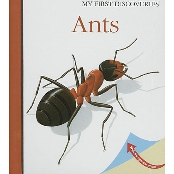 Ants, Rene Mettler