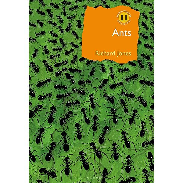 Ants, Richard Jones