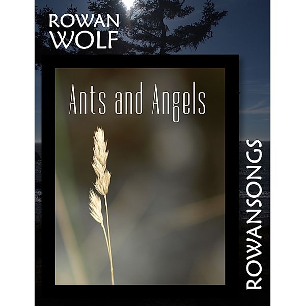Ants and Angels, Rowan Wolf