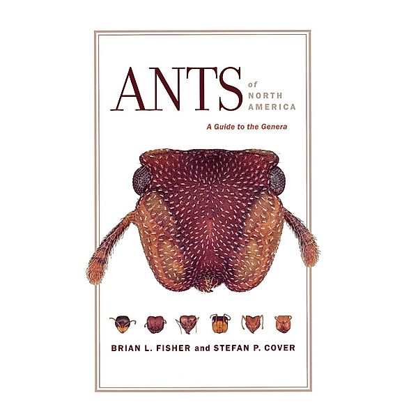 Ants of North America, Brian L. Fisher, Stefan P. Cover