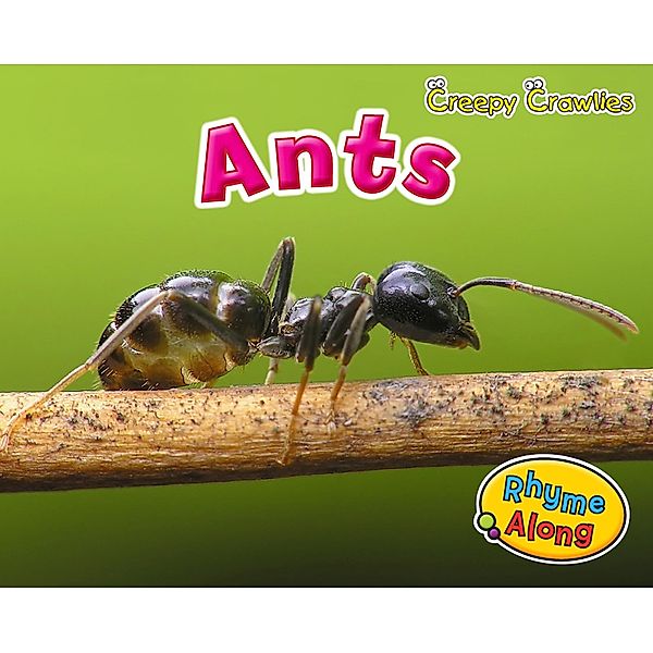 Ants / Raintree Publishers, Rebecca Rissman