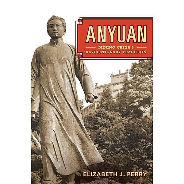 Anyuan / Asia: Local Studies / Global Themes Bd.24, Elizabeth Perry