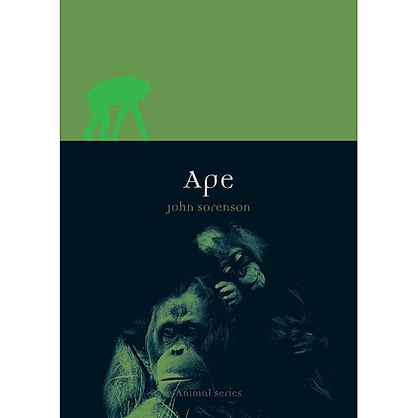 Ape / Animal, Sorenson John Sorenson
