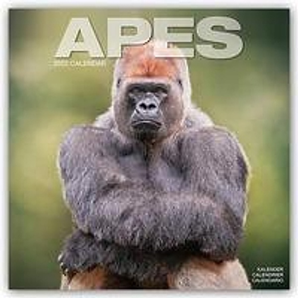 Apes - Affen 2022, Avonside Publishing Ltd