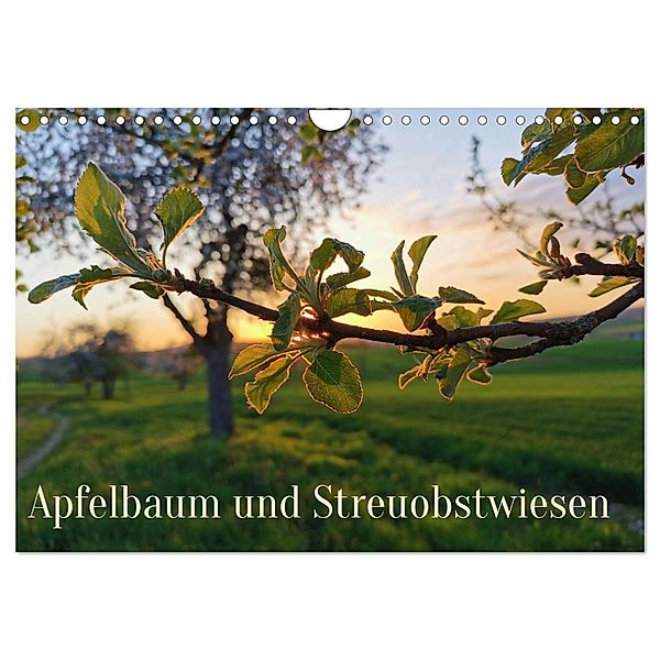 Apfelbaum und Streuobstwiesen (Wandkalender 2024 DIN A4 quer), CALVENDO Monatskalender, Stefan weis
