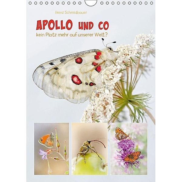 APOLLO UND CO (Wandkalender 2017 DIN A4 hoch), Heinz Schmidbauer