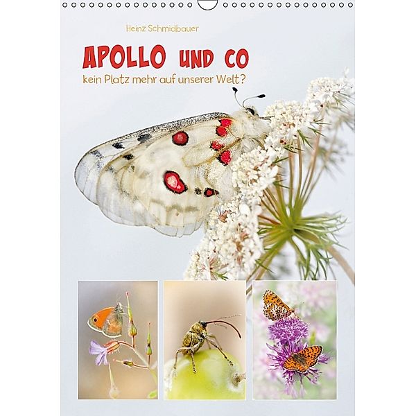 APOLLO UND CO (Wandkalender 2018 DIN A3 hoch), Heinz Schmidbauer