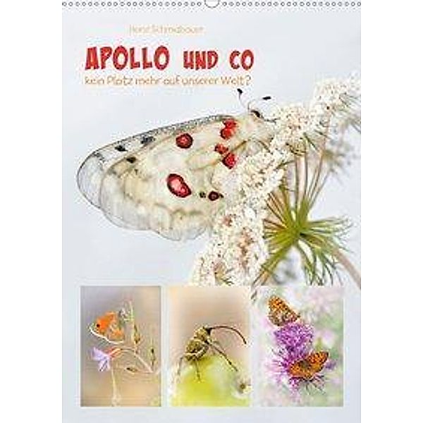 APOLLO UND CO (Wandkalender 2020 DIN A2 hoch), Heinz Schmidbauer
