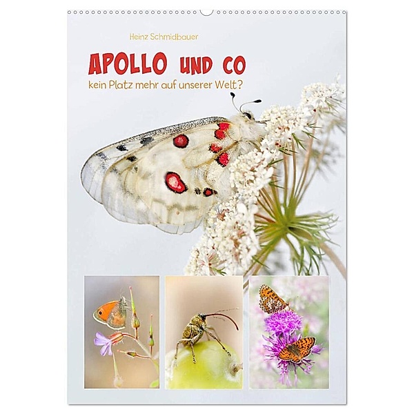 APOLLO UND CO (Wandkalender 2024 DIN A2 hoch), CALVENDO Monatskalender, Heinz Schmidbauer