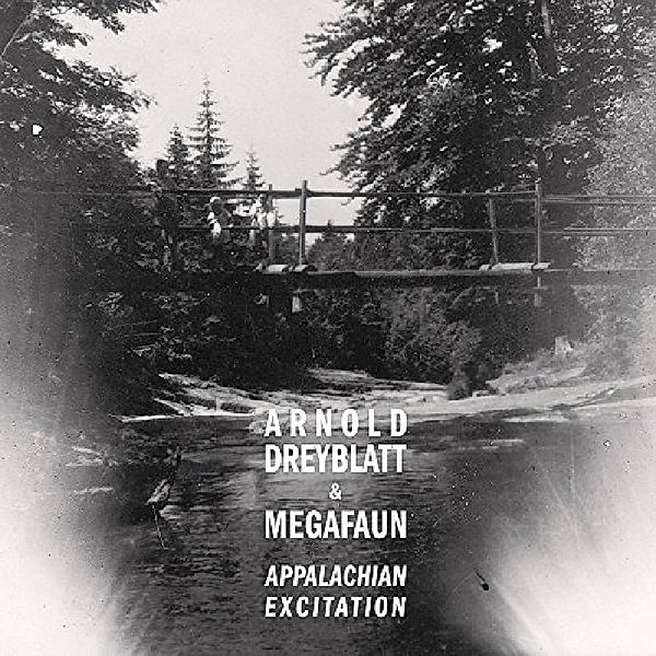 Appalachian Excitation (Vinyl), Arnold Dreyblatt & Megafun