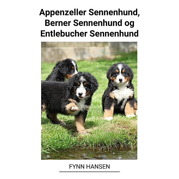 Appenzeller Sennenhund, Berner Sennenhund og Entlebucher Sennenhund, Fynn Hansen