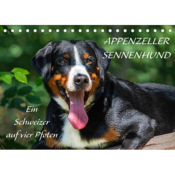 Appenzeller Sennenhund - Ein Schweizer auf 4 Pfoten (Tischkalender 2022 DIN A5 quer), Sigrid Starick