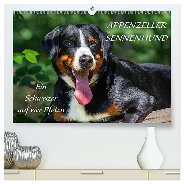 Appenzeller Sennenhund - Ein Schweizer auf 4 Pfoten (hochwertiger Premium Wandkalender 2024 DIN A2 quer), Kunstdruck in Hochglanz, Sigrid Starick