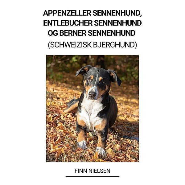 Appenzeller Sennenhund, Entlebucher Sennenhund og Berner Sennenhund (Schweizisk Bjerghund), Finn Nielsen