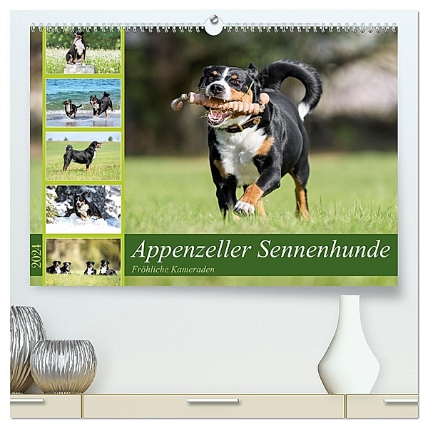 Appenzeller Sennenhunde - Fröhliche Kameraden (hochwertiger Premium Wandkalender 2024 DIN A2 quer), Kunstdruck in Hochglanz, Calvendo, Jana K. Fotografie