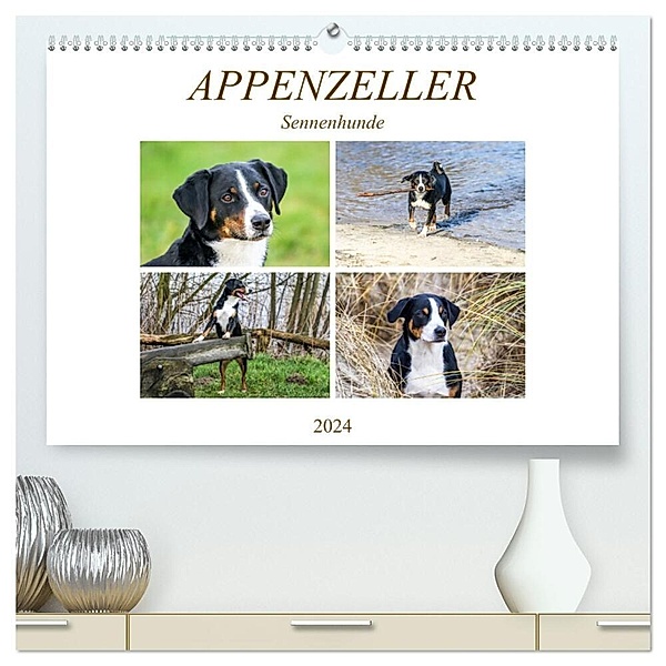 Appenzeller Sennenhunde (hochwertiger Premium Wandkalender 2024 DIN A2 quer), Kunstdruck in Hochglanz, Schnellewelten