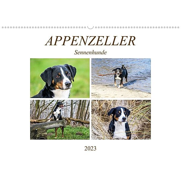 Appenzeller Sennenhunde (Wandkalender 2023 DIN A2 quer), Schnellewelten