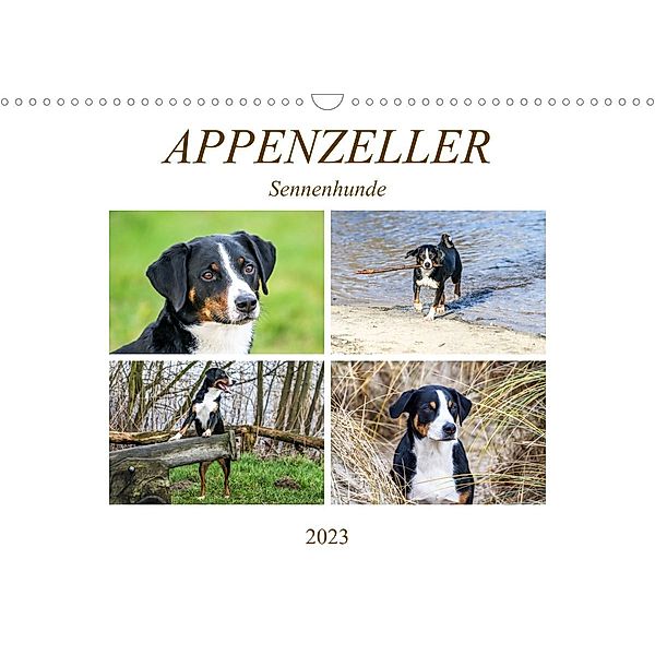 Appenzeller Sennenhunde (Wandkalender 2023 DIN A3 quer), Schnellewelten