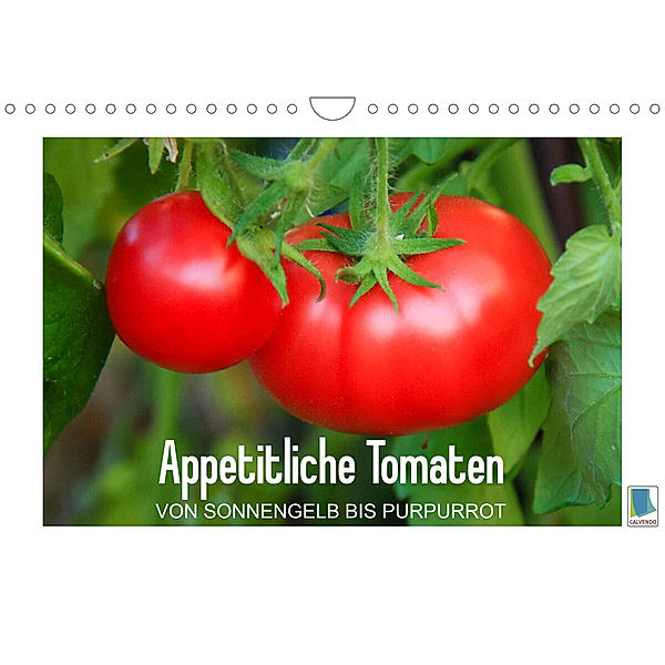 Appetitliche Tomaten - von sonnengelb bis purpurrot (Wandkalender 2023 DIN A4 quer), Calvendo
