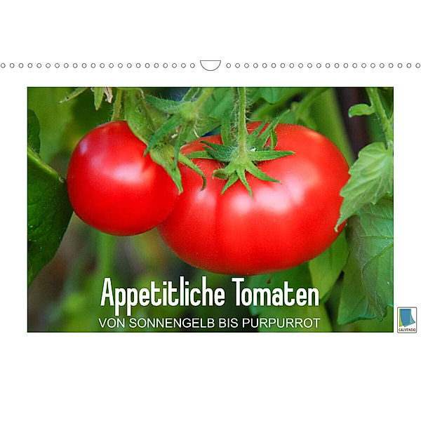 Appetitliche Tomaten - von sonnengelb bis purpurrot (Wandkalender 2023 DIN A3 quer), Calvendo
