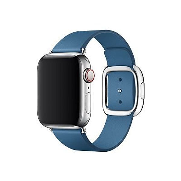 APPLE 40mm Cape Cod Blue Modern Buckle Band - Medium