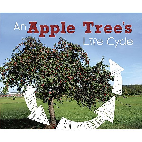 Apple Tree's Life Cycle / Raintree Publishers, Mary R. Dunn