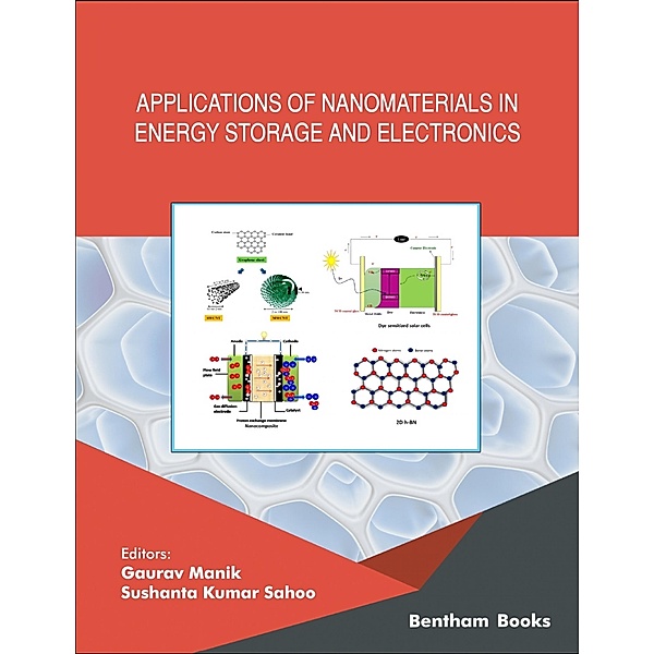 Applications of Nanomaterials in Energy Storage and Electronics / Current and Future Developments in Nanomaterials and Carbon Nanotubes Bd.3