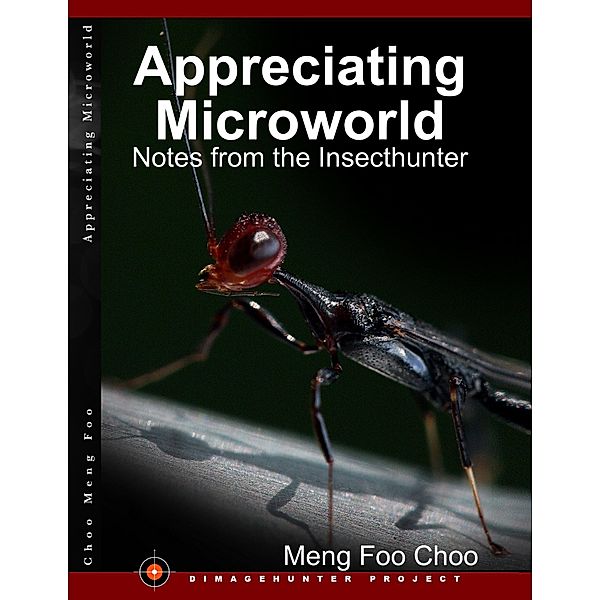 Appreciating Microworld: Notes from the Insecthunter, Meng Foo Choo