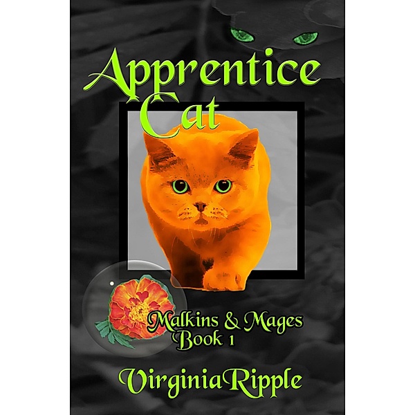 Apprentice Cat (Malkins & Mages, #1) / Malkins & Mages, Virginia Ripple