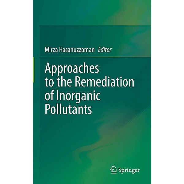 Approaches to the Remediation of Inorganic Pollutants