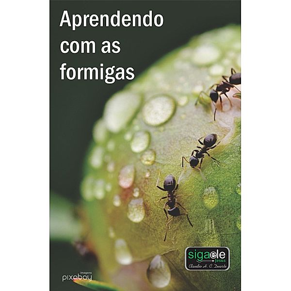 Aprendendo com as formigas, Claudio Henrique Cerqueira Duarte Claudio Duarte