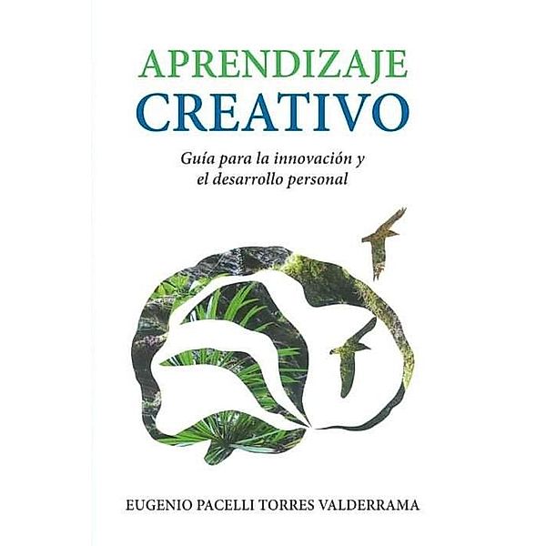 Aprendizaje Creativo, Eugenio Pacelli Torres Valderrama