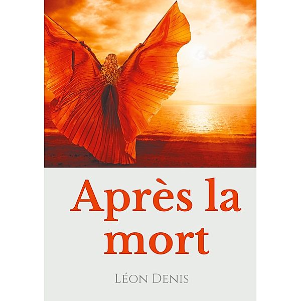 Après la mort, Léon Denis
