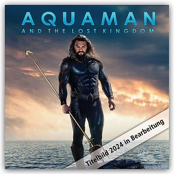 Aquaman 2 - Offizieller Kalender 2024, Danilo Promotion Ltd