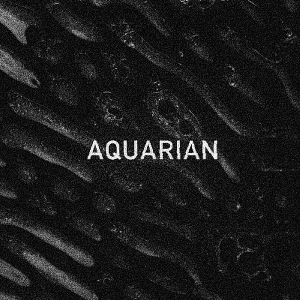 Aquarian, Aquariana