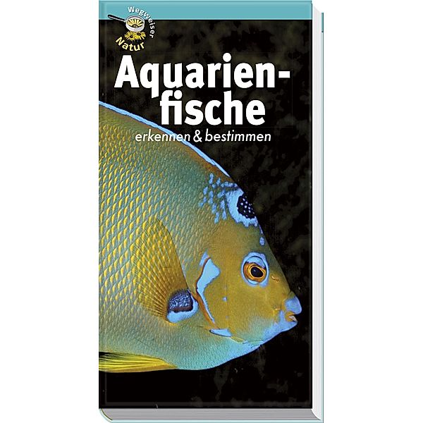 Aquarienfische erkennen & bestimmen