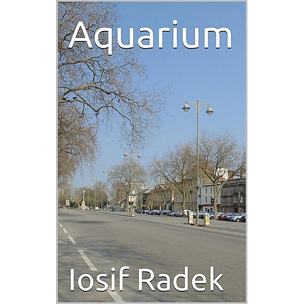 Aquarium, Iosif Radek