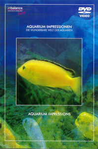 Image of Aquarium Impressionen
