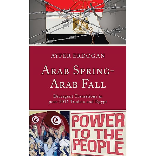 Arab Spring-Arab Fall, Ayfer Erdogan