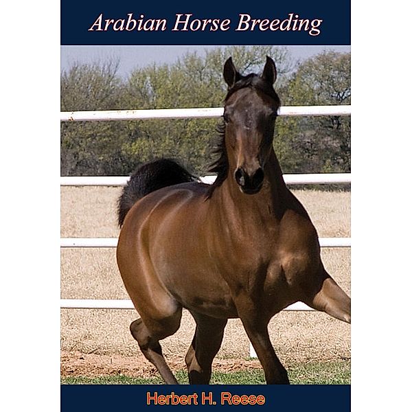 Arabian Horse Breeding, Herbert H. Reese