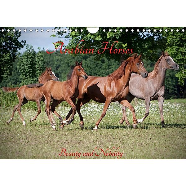 Arabian Horses - Beauty And Nobility (Wall Calendar 2023 DIN A4 Landscape), Angela Muenzel-Hashish