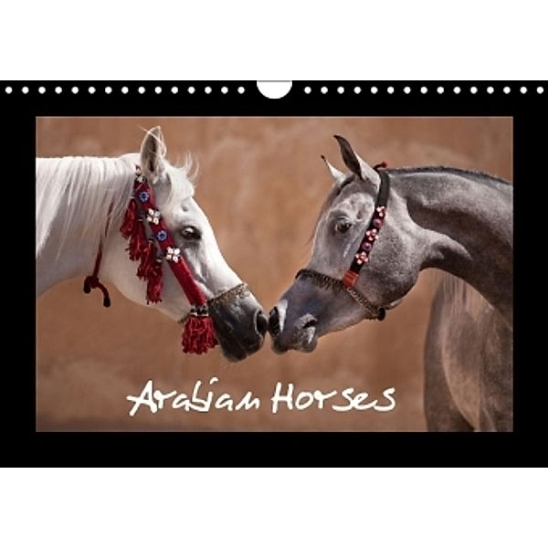 Arabian Horses / GB-Version (Wall Calendar 2014 DIN A4 Landscape), Francis Tilborghs