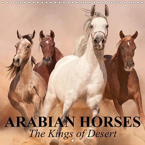 Arabian Horses - The Kings of Desert (Wall Calendar 2021 300 × 300 mm Square), Elisabeth Stanzer