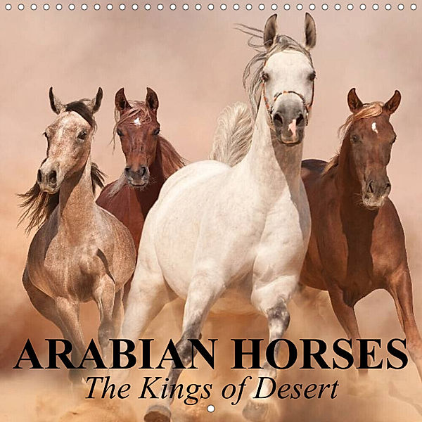 Arabian Horses - The Kings of Desert (Wall Calendar 2023 300 × 300 mm Square), Elisabeth Stanzer