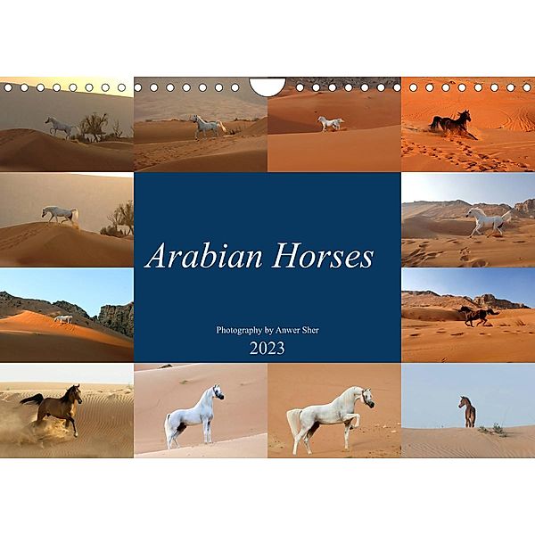 Arabian Horses (Wall Calendar 2023 DIN A4 Landscape), Anwer Sher