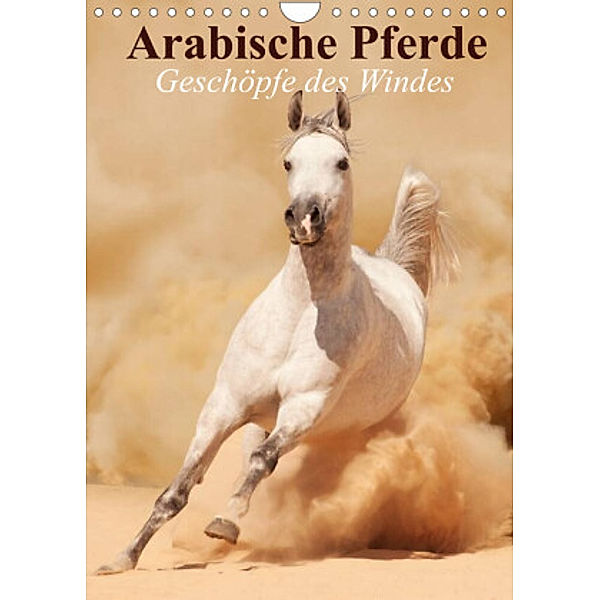 Arabische Pferde - Geschöpfe des Windes (Wandkalender 2022 DIN A4 hoch), Elisabeth Stanzer