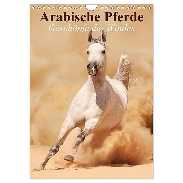 Arabische Pferde - Geschöpfe des Windes (Wandkalender 2024 DIN A4 hoch), CALVENDO Monatskalender, Elisabeth Stanzer
