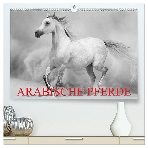 Arabische Pferde (hochwertiger Premium Wandkalender 2025 DIN A2 quer), Kunstdruck in Hochglanz, Calvendo, Elisabeth Stanzer
